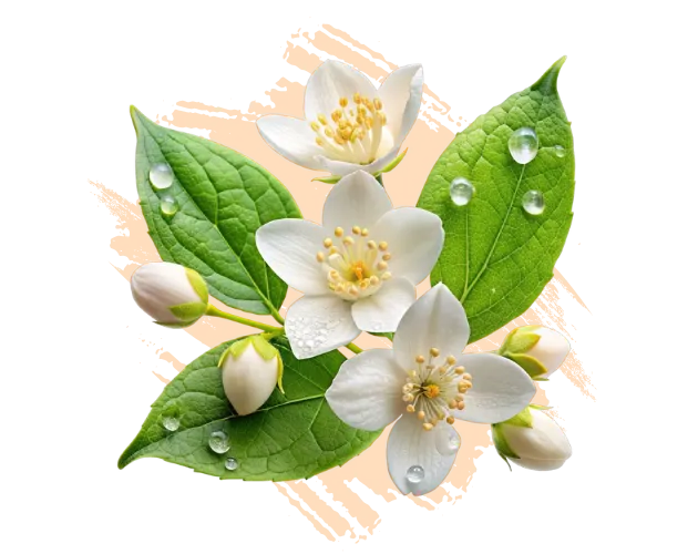 Fresh Flower Collection