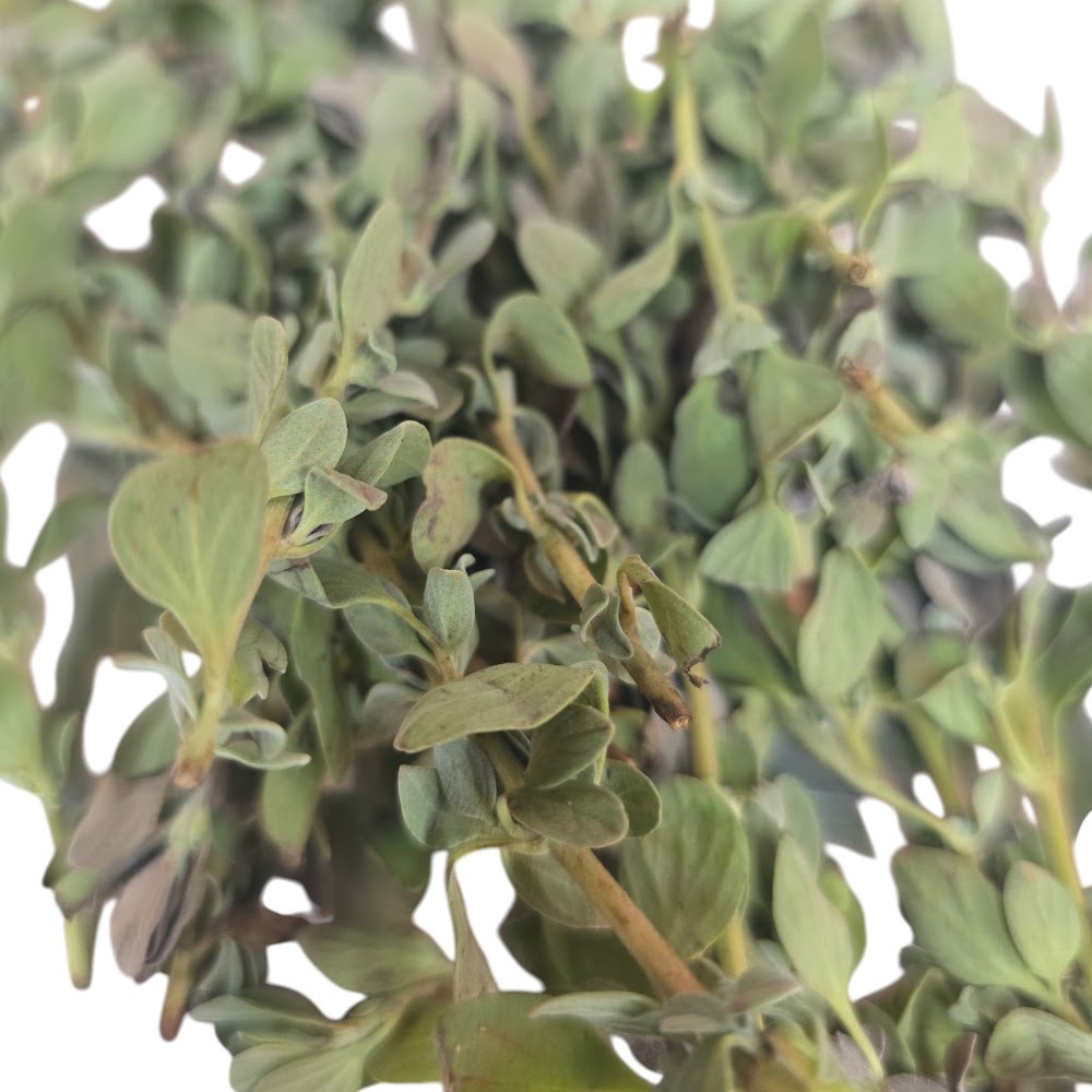 Fresh Thavanam Leaves - Sacred Puja Offering