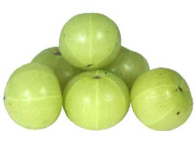 Fresh Indian Gooseberry (Nellikkay, Nelluru, Nellikka) – 1 Pack
