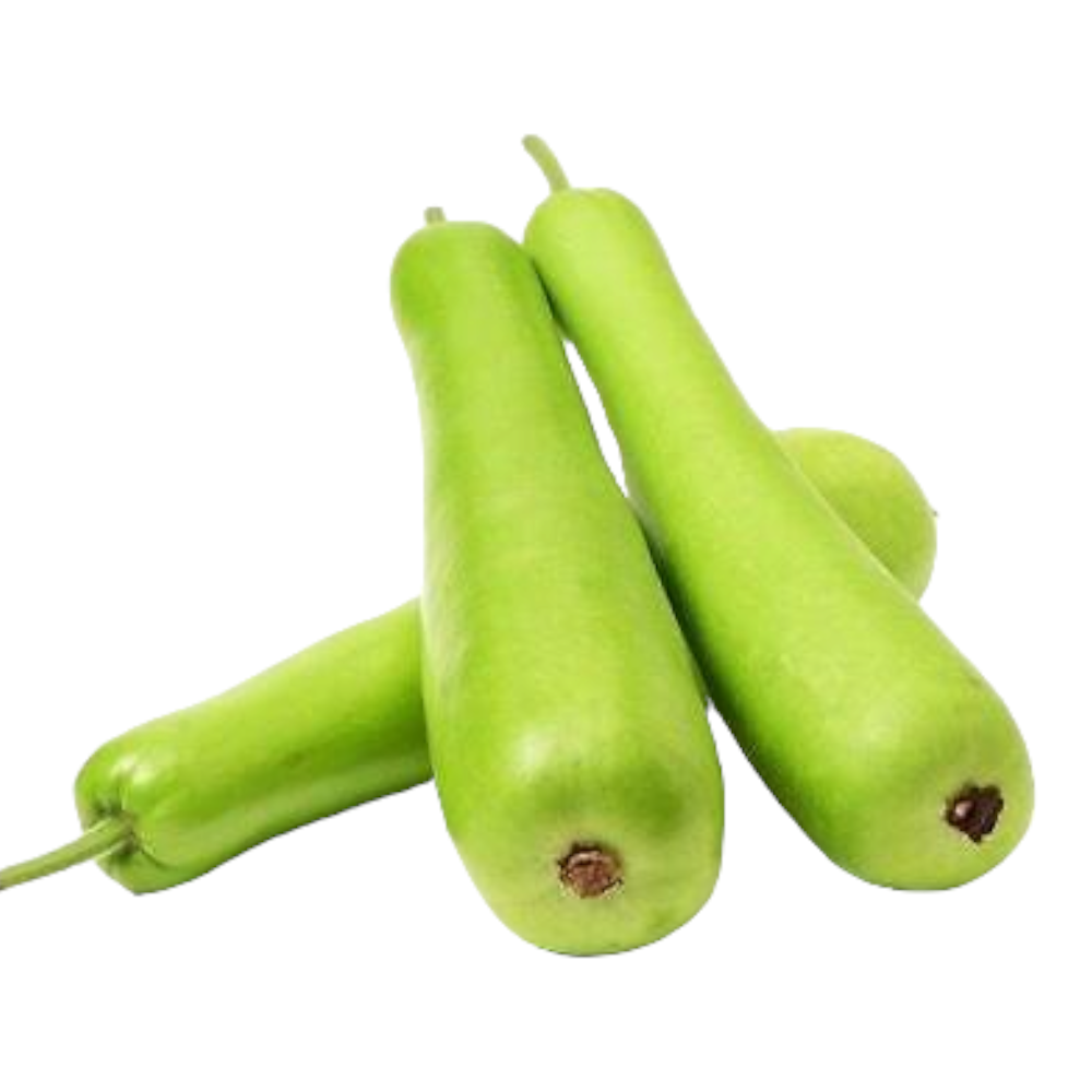 Fresh Bottle gourd (Suraikkaai, Sorakaya, Churakka) – 1 Pack