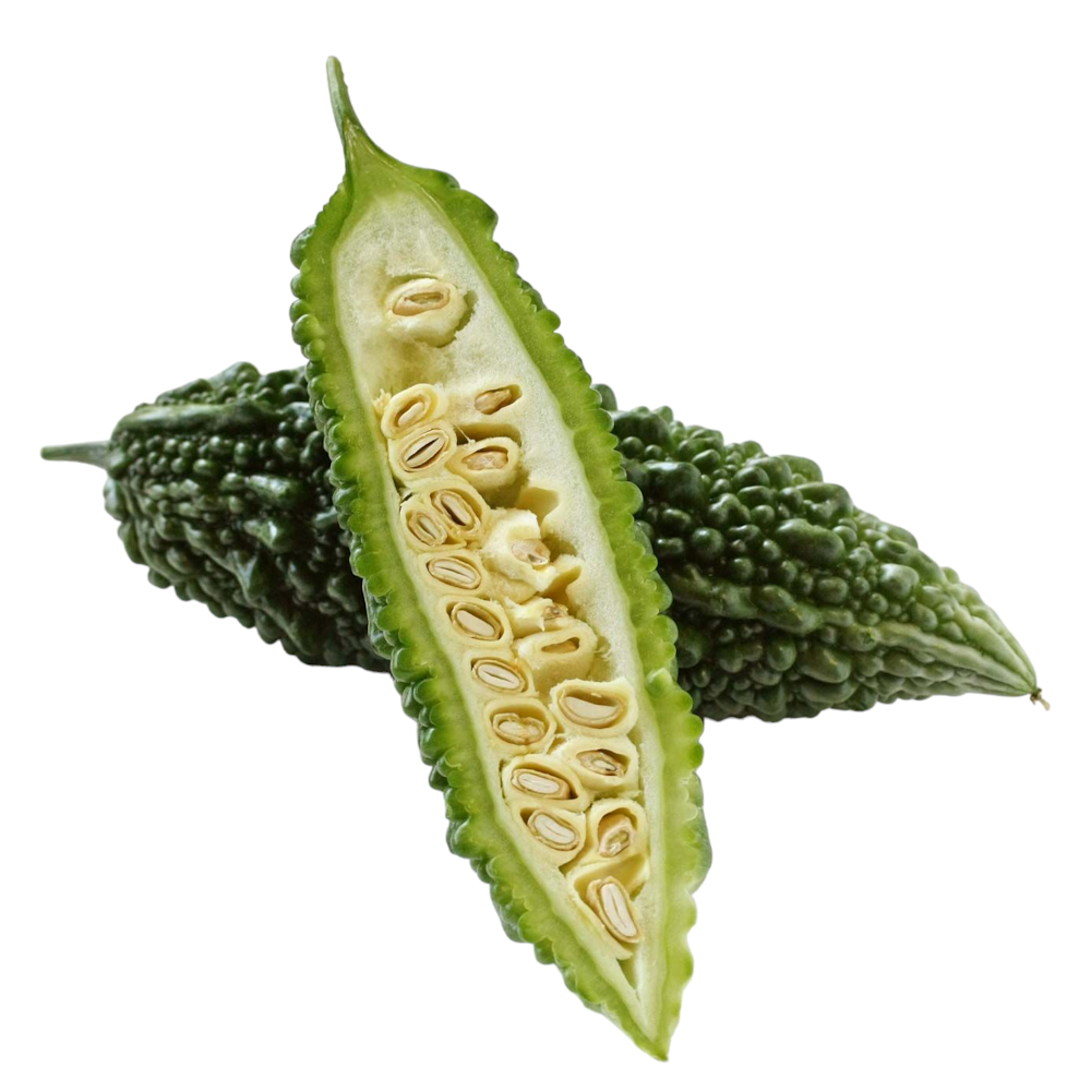 Fresh Bitter gourd (Pavakkai, Kakarakaya, Pavakka) – 1 Pack