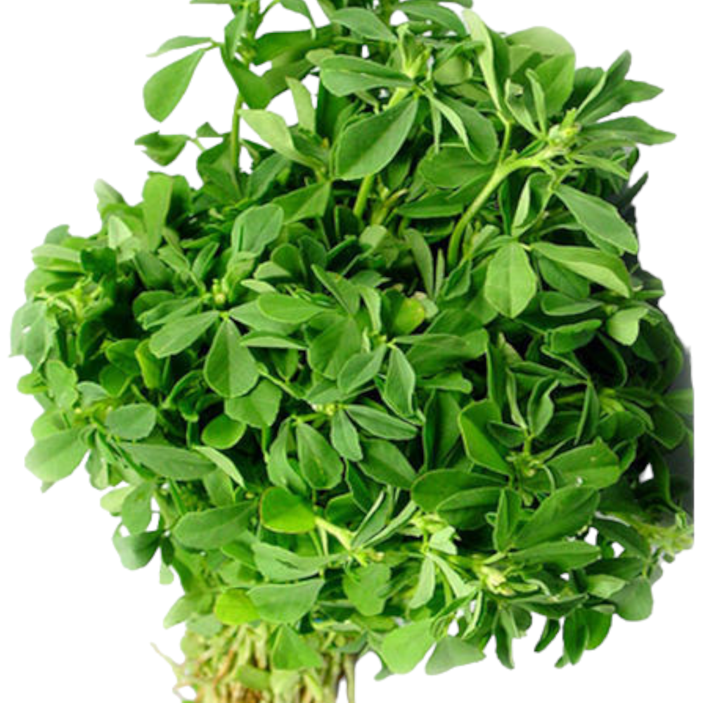 Fresh Fenugreek leaves (Vendhaya Keerai, Mentha Koora, Uluva) – 1 Pack