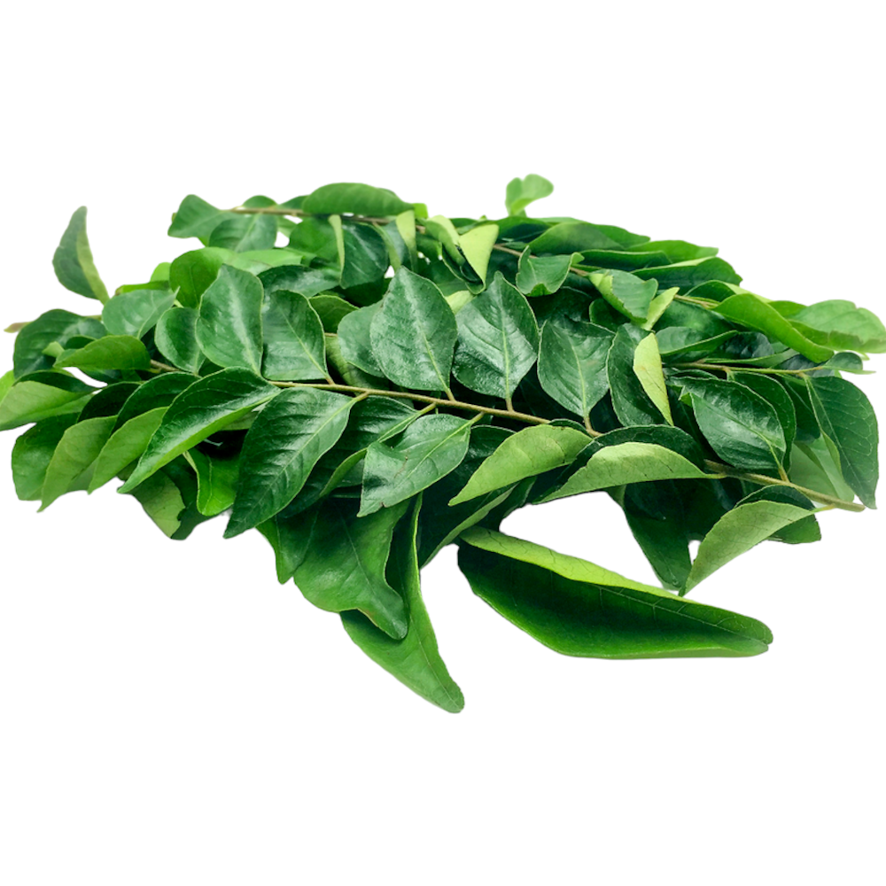 Fresh Curry Leaves (Kariveppilai, Karivepaku, Kariveppila) – 1 Pack