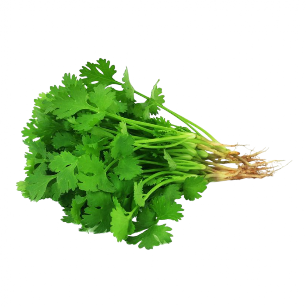 Fresh Coriander Leaves (Kothamalli, Kottimira, Malliyila) – 1 Pack