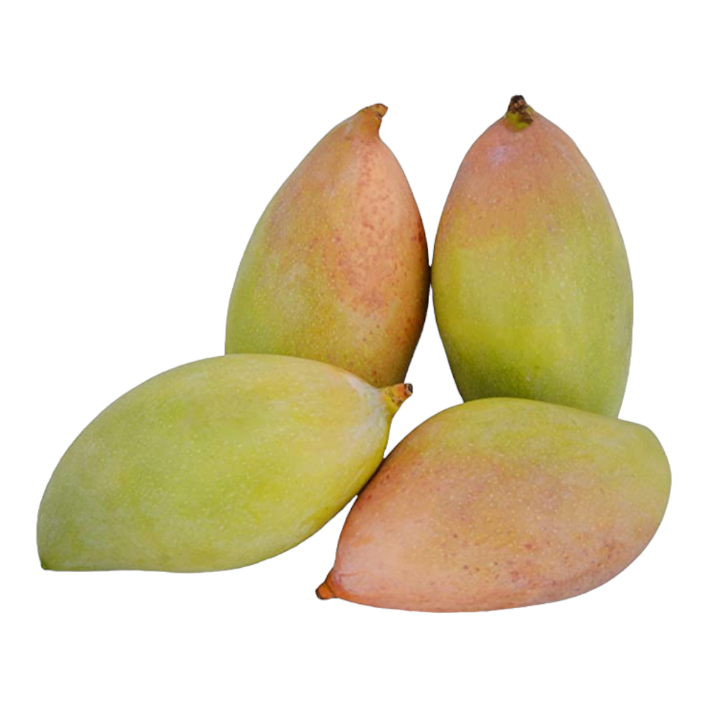 Fresh Kili Mooku Mango (Kili mukku mampalam, Kili mukku mamidi, Kili mukk manna) – 2 Each