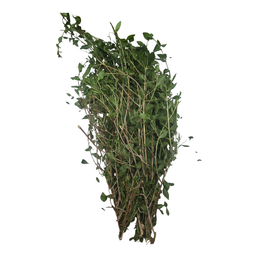 Henna Leaves, Maruthani Ilai, Gorintaku Aku, Mailanci Ila, Mehandi Patte – Pack