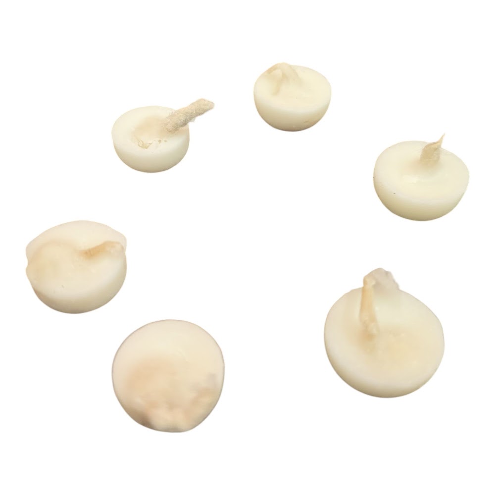 Nei Theepam – Set of 6 | Traditional Idol