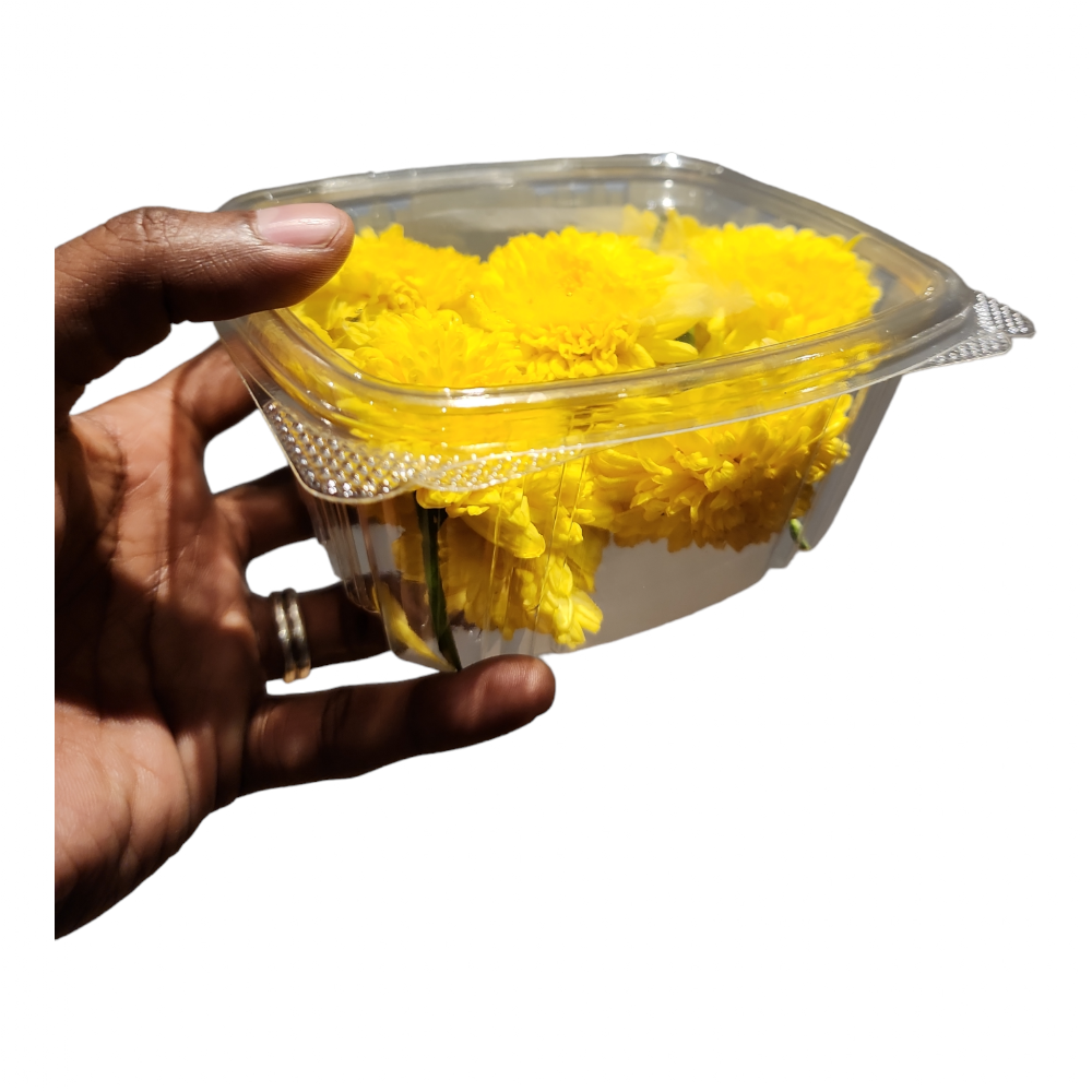 Camantippu (Samanthi), Banti, Jamanthi, Gende ka phool - 1 Pack