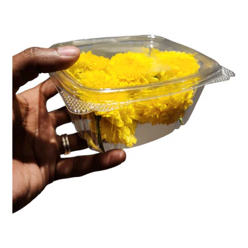 Camantippu (Samanthi), Banti, Jamanthi, Gende ka phool - 1 Pack