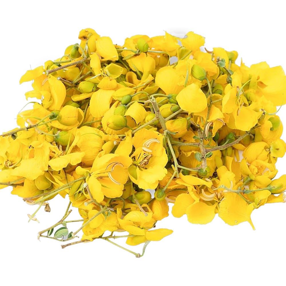 Fresh Avaram Poo | Sacred Flower for Pooja & Religious Celebrations