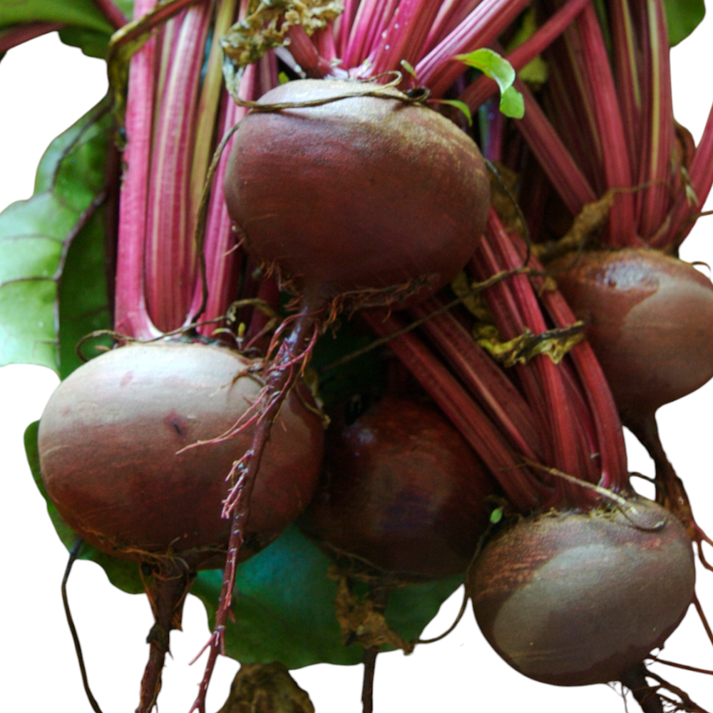 Fresh Beetroot (Chukandar) – 1 Pack