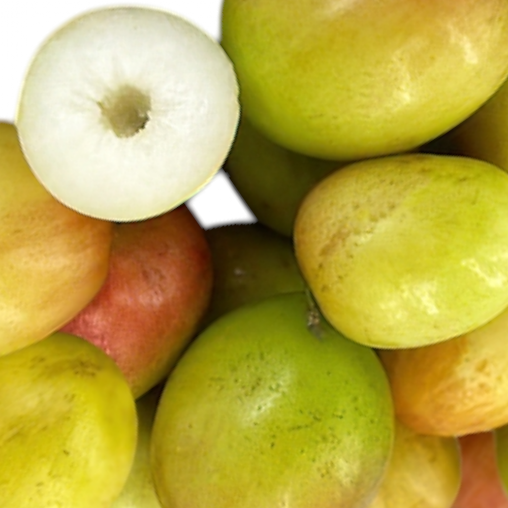 Fresh Indian Plum (Jujube, Illantha Pallam, Regi Pandu) – 1 Pack