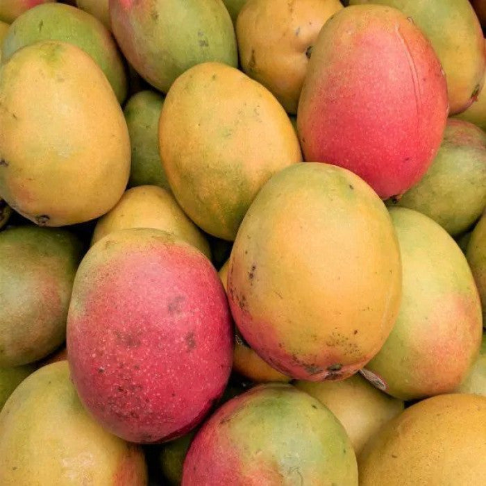 Fresh Haden Mango (Haden Maangai, Haden Mamidi, Haden Maampazham)