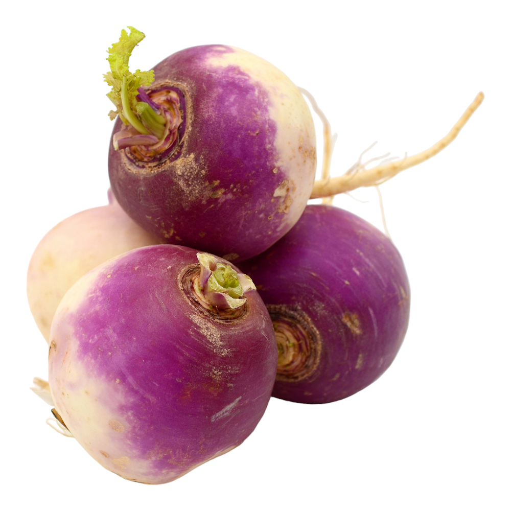 Fresh Turnip (Alaikilangu, Alugadda, Aliyam) – 1 Pack