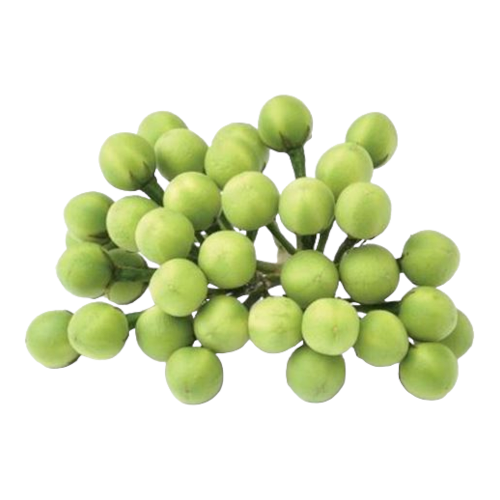 Fresh Turkey Berry (Sundakkai, Biryani Kaya, Manathakkali) – 1 Pack