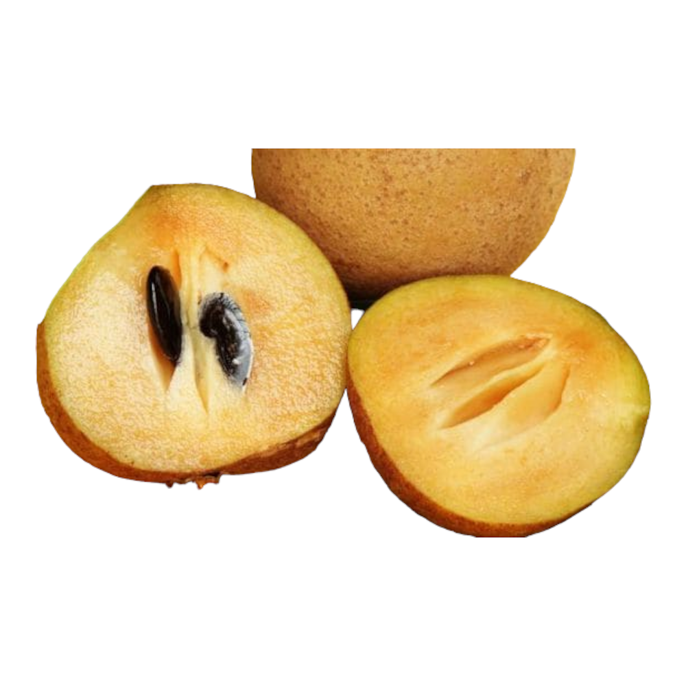 Fresh Sapota (Chikoo, Cappotta, Sappotta) – 1 Pack