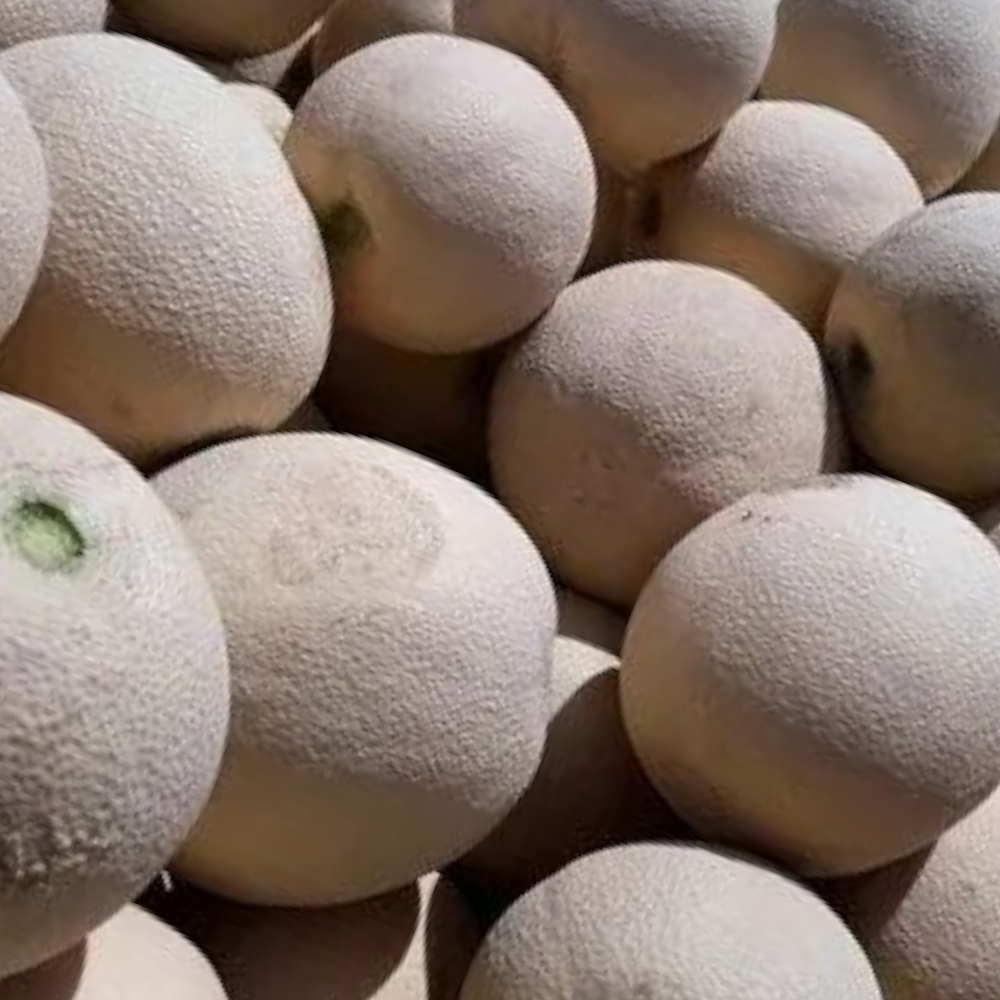 Fresh Muskmelon (Mulampalam, Pesalu, Kayppalam) – 1 Each
