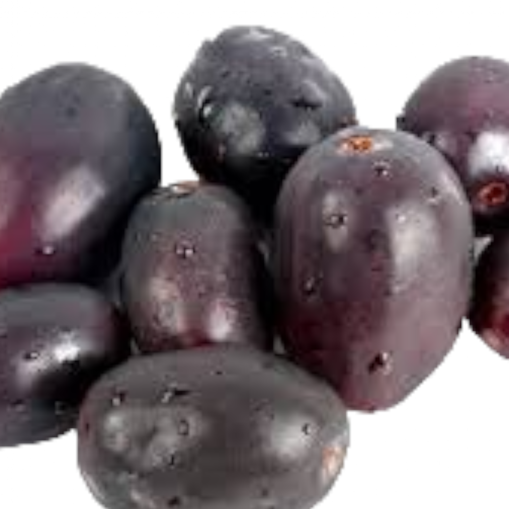 Naval palam, Java Plum, Neredu, Neram, Jamun - 1 pack