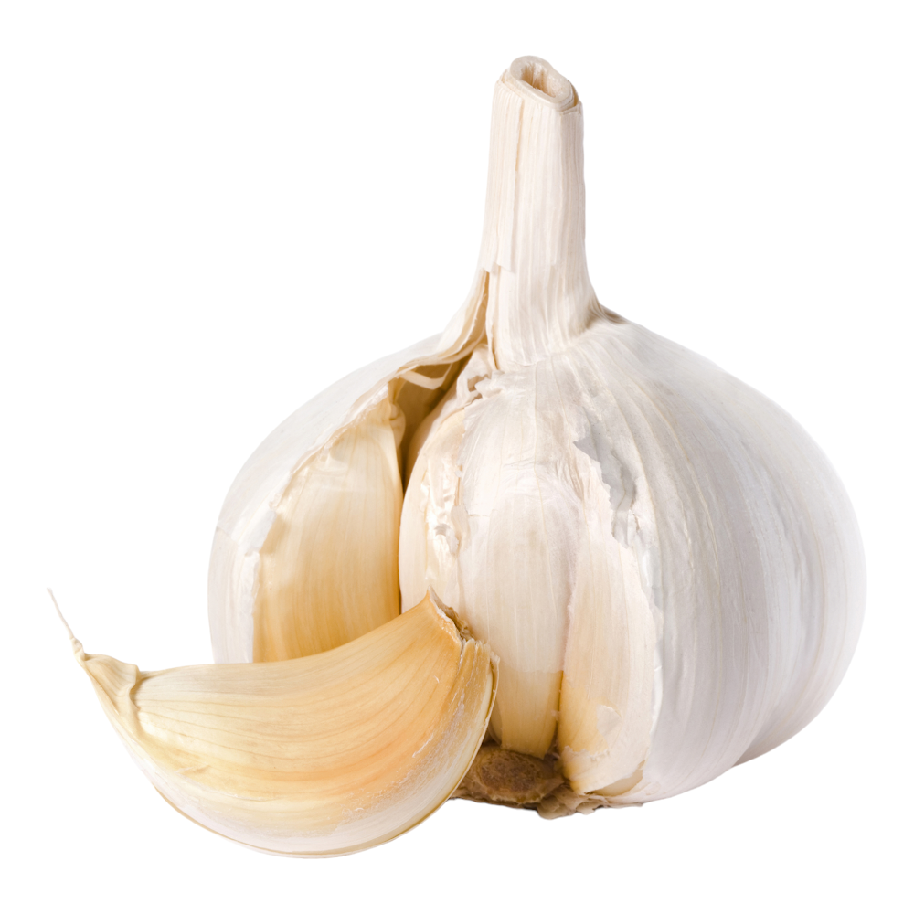 Fresh Garlic (Puntu, Vellulli, Veluttulli) – 1 Pack