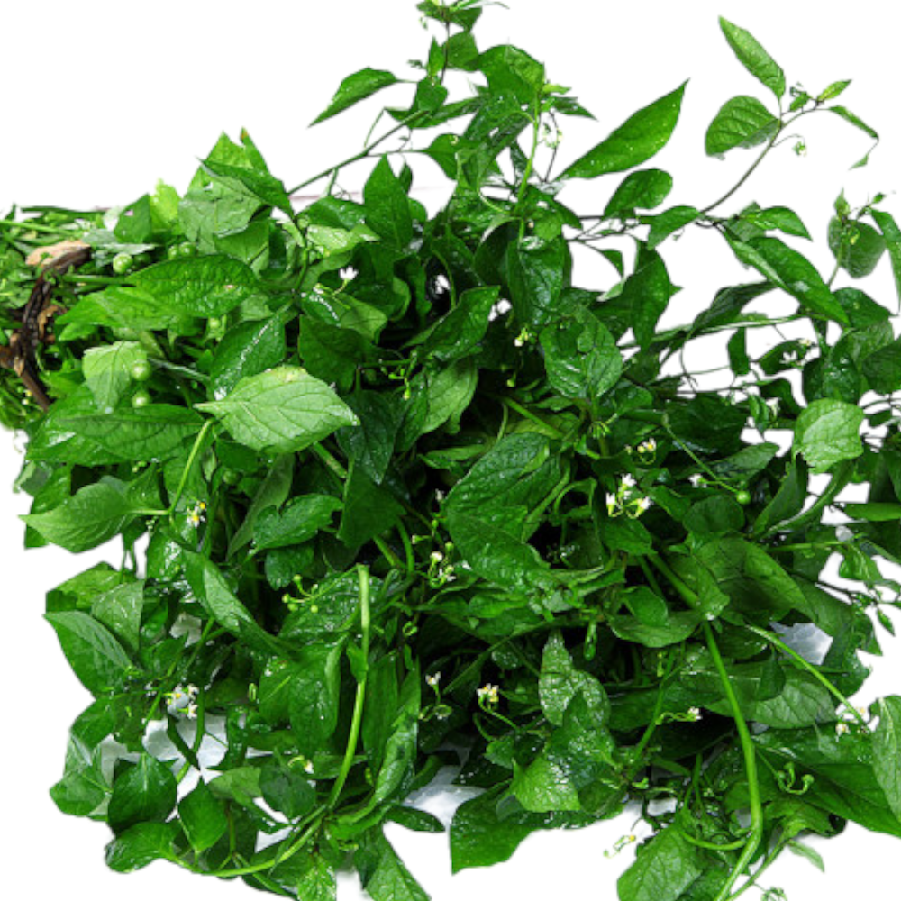 Fresh Black Nightshade leaves (Manathakkali, Kamanchi Chettu, Kakkarimulaku) – 1 Pack