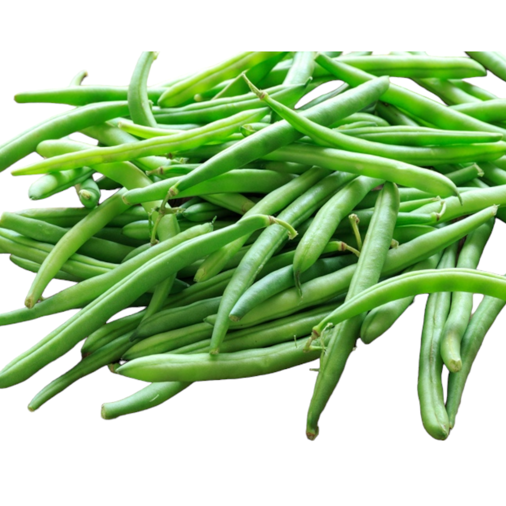 Fresh Beans (Pins, Bins, Puratt) – 1 Pack