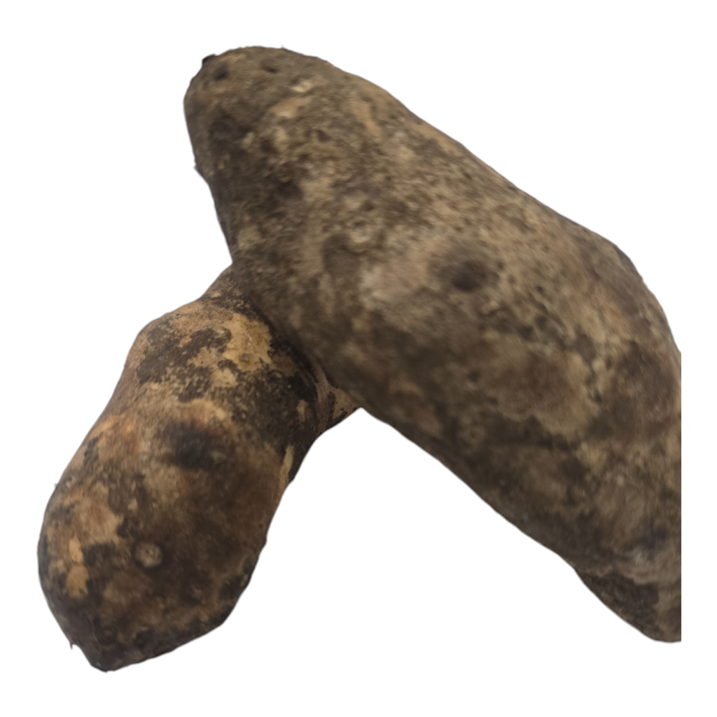 Fresh Elephant Foot Yam (Karunai Kilangu, Kanda Gadda, Chena Kilannu) – 1 Pack