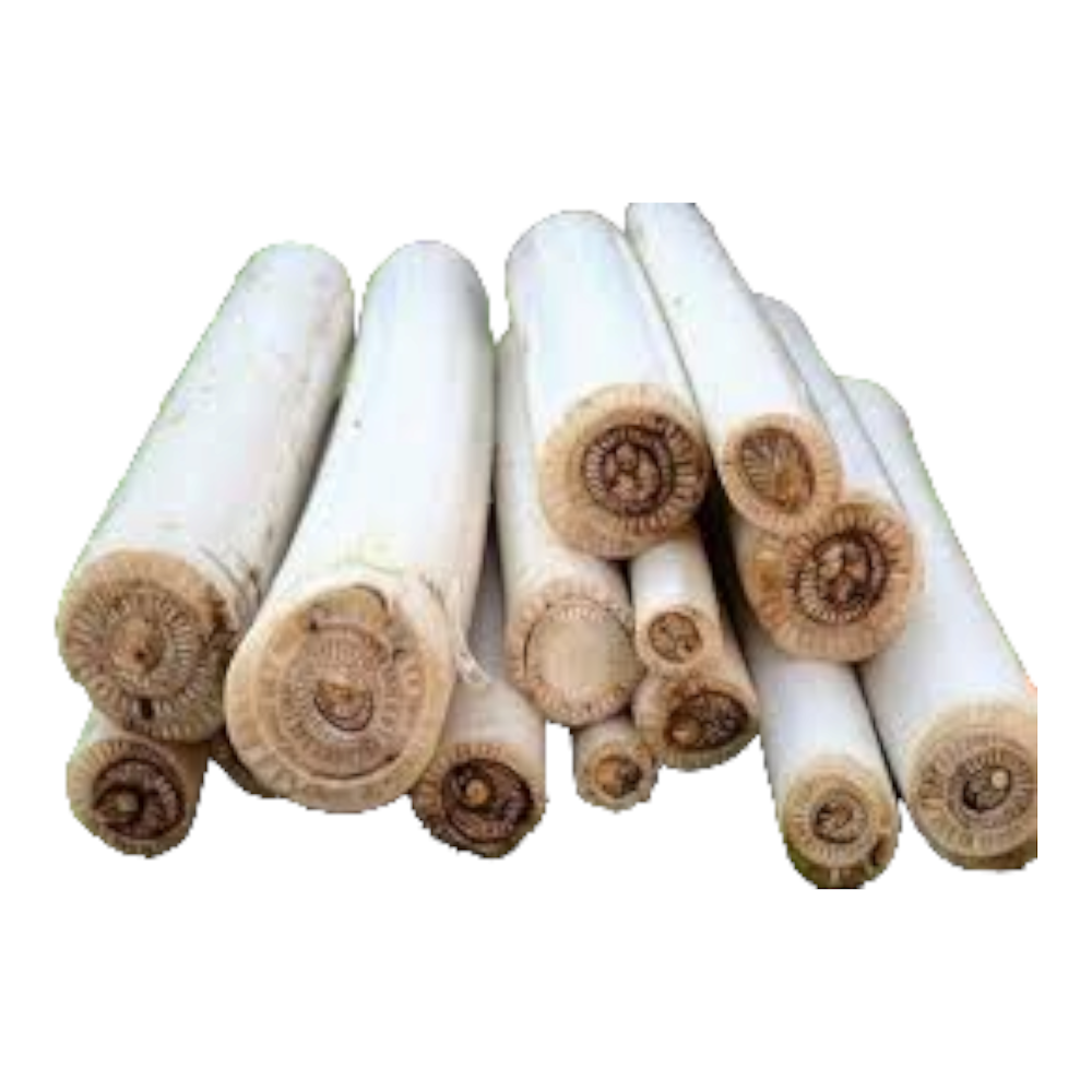 Fresh Banana Stem (Valai tantu, Arati tiga, Valappaccha) – 1 Each