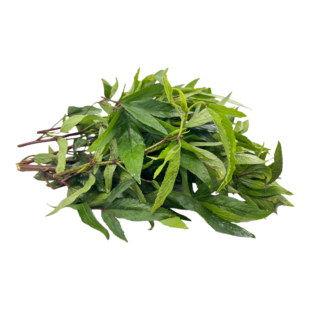 Fresh Sorrel leaves (Pulipu Keerai, Gongura, Puliveppu) – 1 Pack