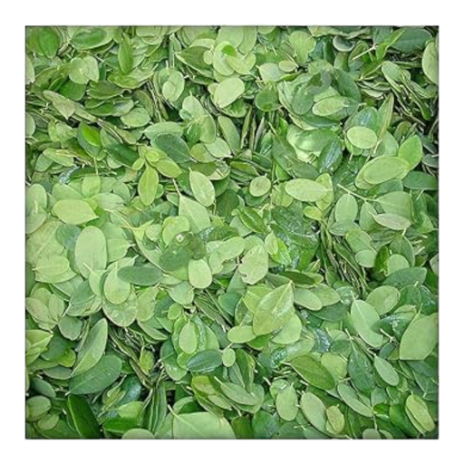 Fresh Drumstick leaves (Murungai Keerai, Munaga Koora, Muringa) – 1 Pack