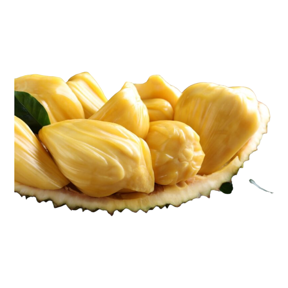 Fresh Jack Fruit (Palaa Pazham, Panasa Pandu, Chakka) – 2 lb