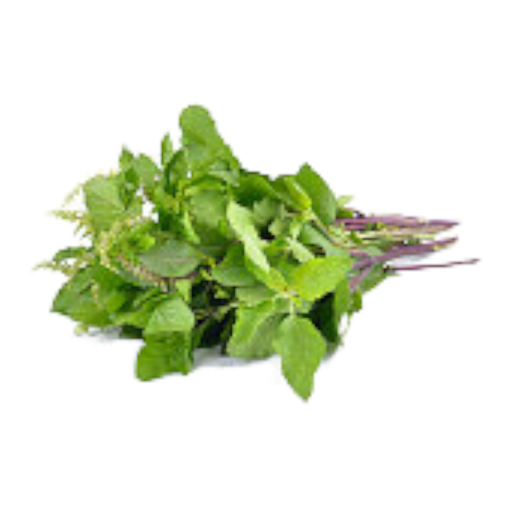 Thulasi Fresh Leaves – 1 Pack | Sacred Puja Essential