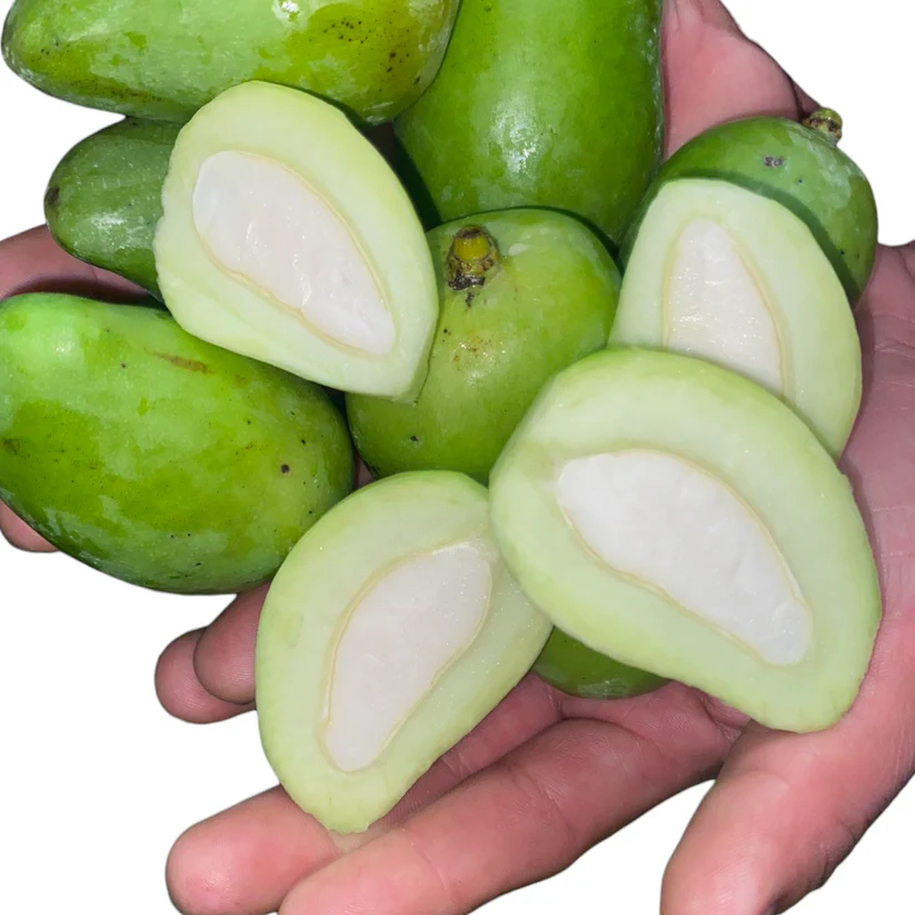 Fresh Green Mangoes (Maangai, Mamidi, Aam) – 1 Pack