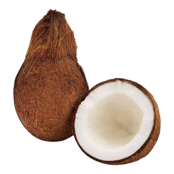 Fresh Coconut (Thengaai, Kobbari Kaya, Thenga) – Each