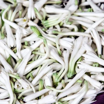 Sampangi Fresh Flower Individual | Fresh Puja Flowers