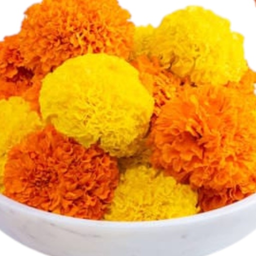 Fresh Marigold Flowers in Canada | Puja & Decoration Flowers